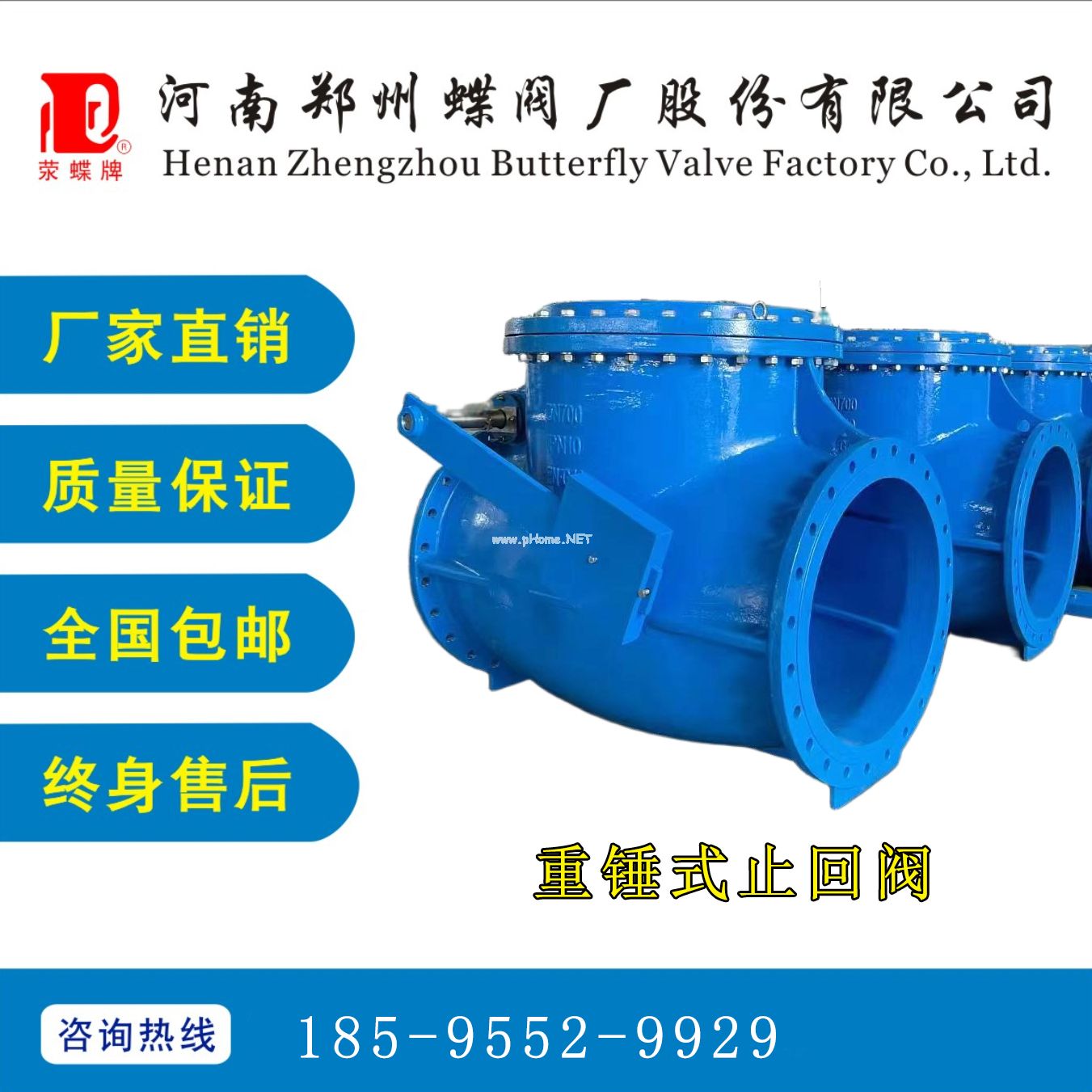 <strong>BC贷大口径重锤式止回阀</strong>